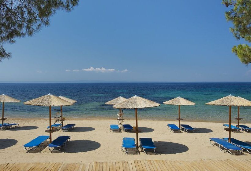 בית מלון כפרי Blue Dolphin