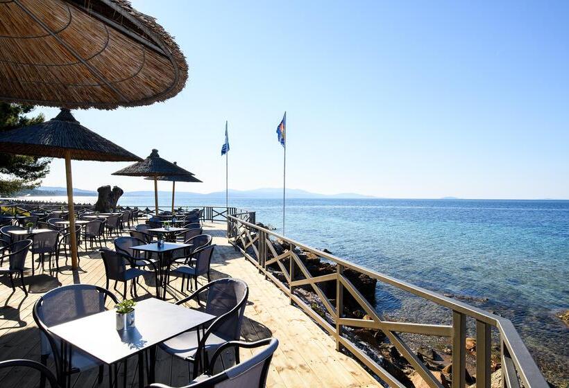 בית מלון כפרי Blue Dolphin