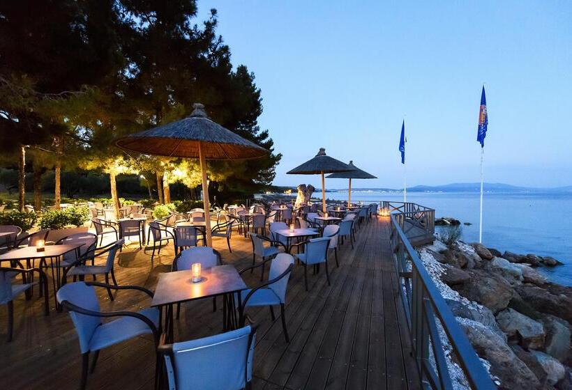 בית מלון כפרי Blue Dolphin