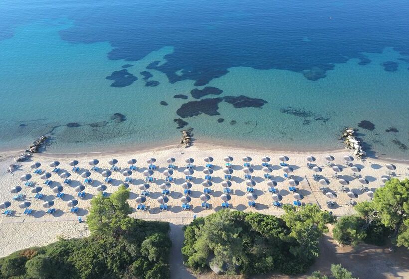 בית מלון כפרי Blue Dolphin