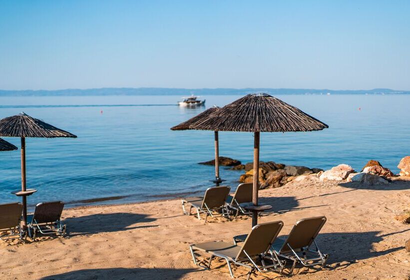 בית מלון כפרי Blue Dolphin