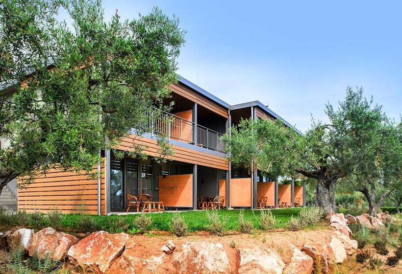 בית מלון כפרי Blue Dolphin