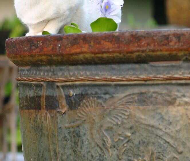 호텔 Bon Ton Resort Langkawi