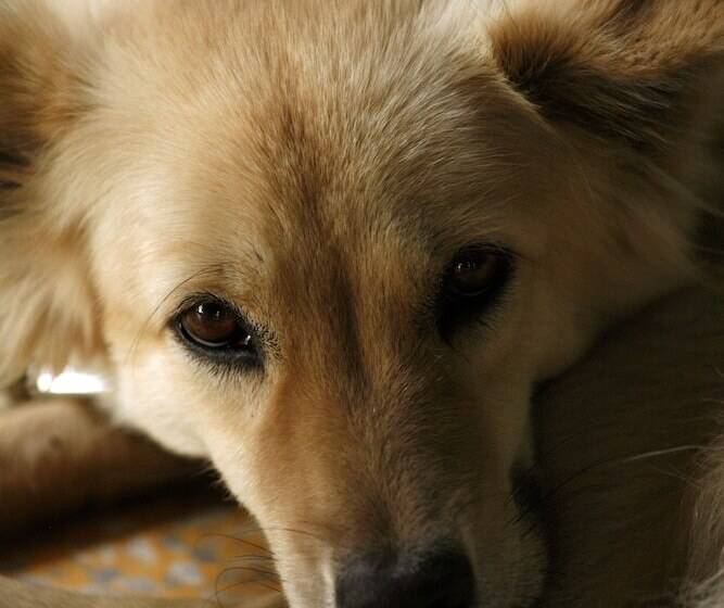 호텔 Bon Ton Resort Langkawi