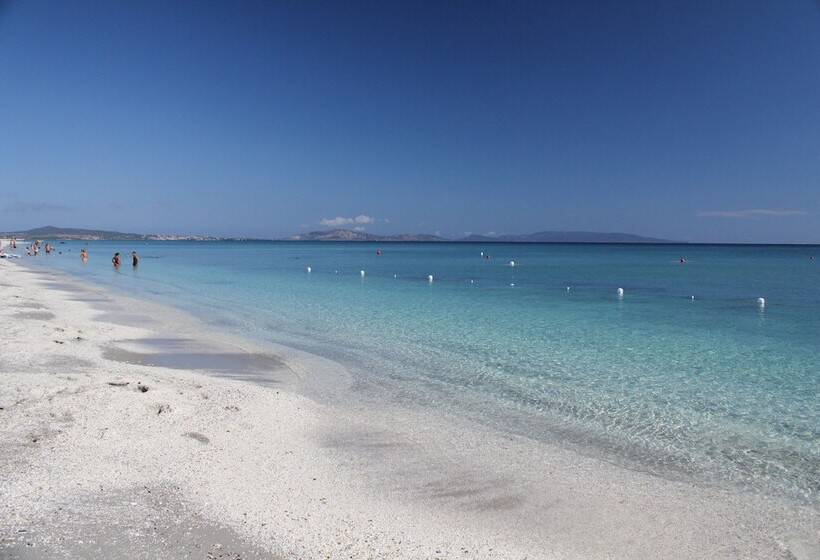 호텔 Cala Rosa Club