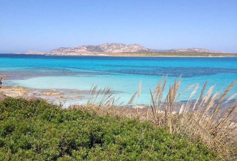 호텔 Cala Rosa Club