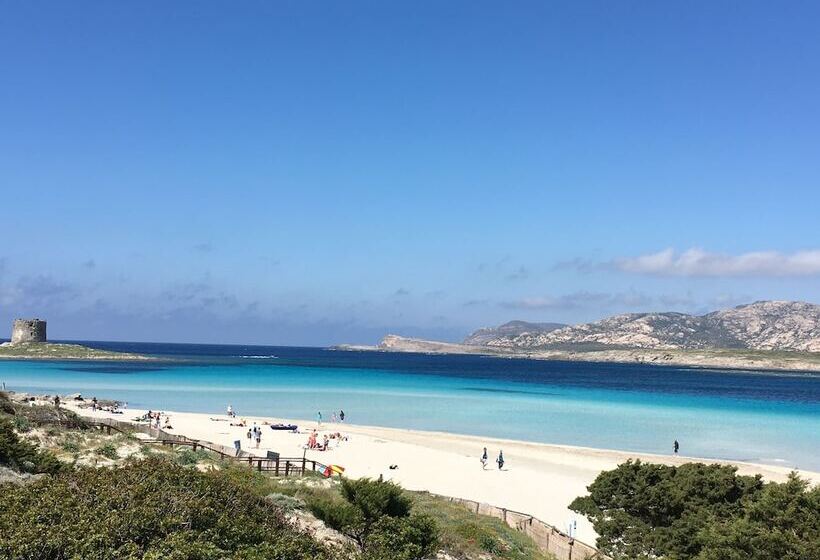 호텔 Cala Rosa Club