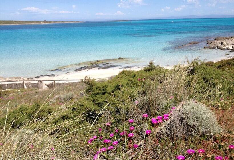 호텔 Cala Rosa Club