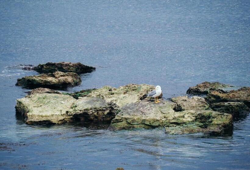 فندق Carmen Azzuro