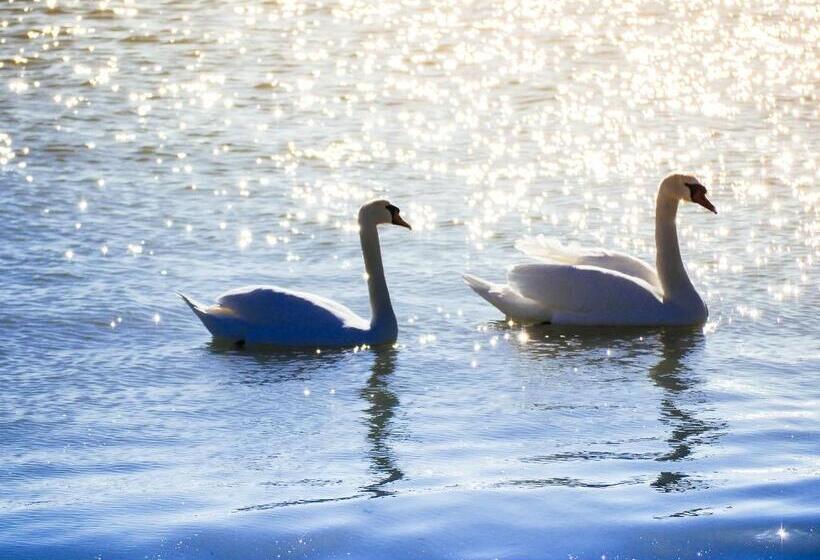 فندق Carmen Azzuro