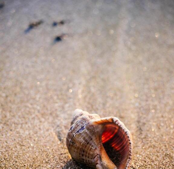 فندق Carmen Azzuro