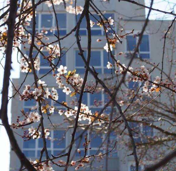 فندق Carmen Azzuro