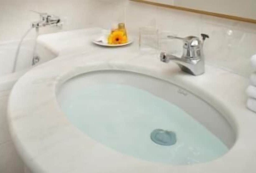 בית מלון כפרי Cernigov