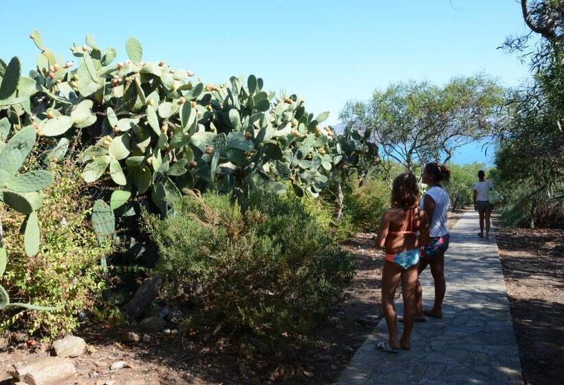 Unahotels Club Hotel Ancora