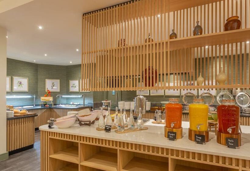 酒店 Crowne Plaza Dublin Airport, An Ihg