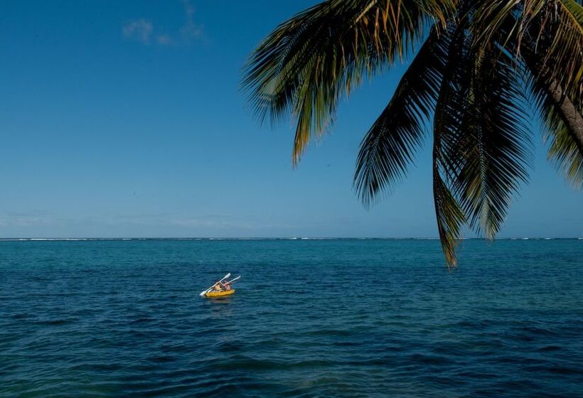 Отель Crusoe's Retreat