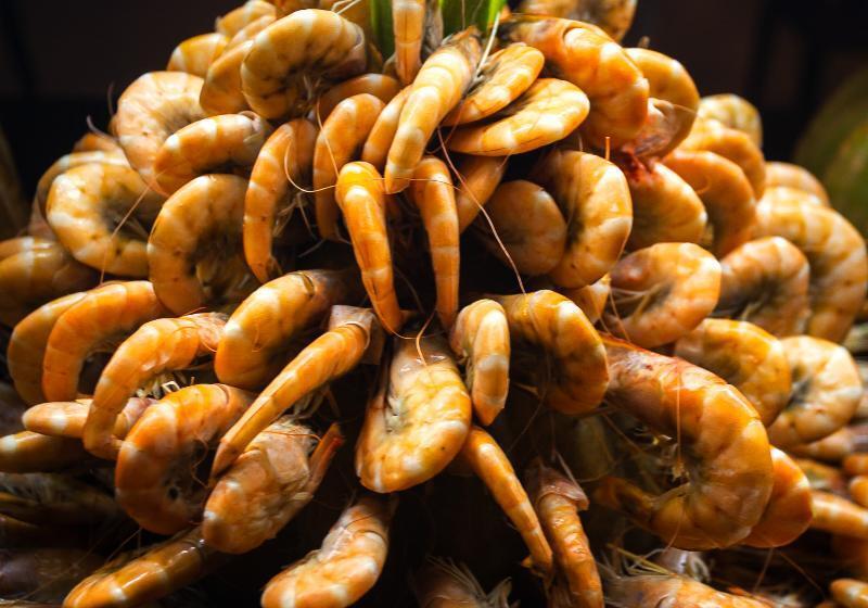 فندق Djerba Aqua Resort