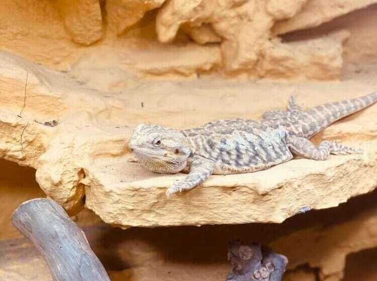 Dormero Hotel Bretten