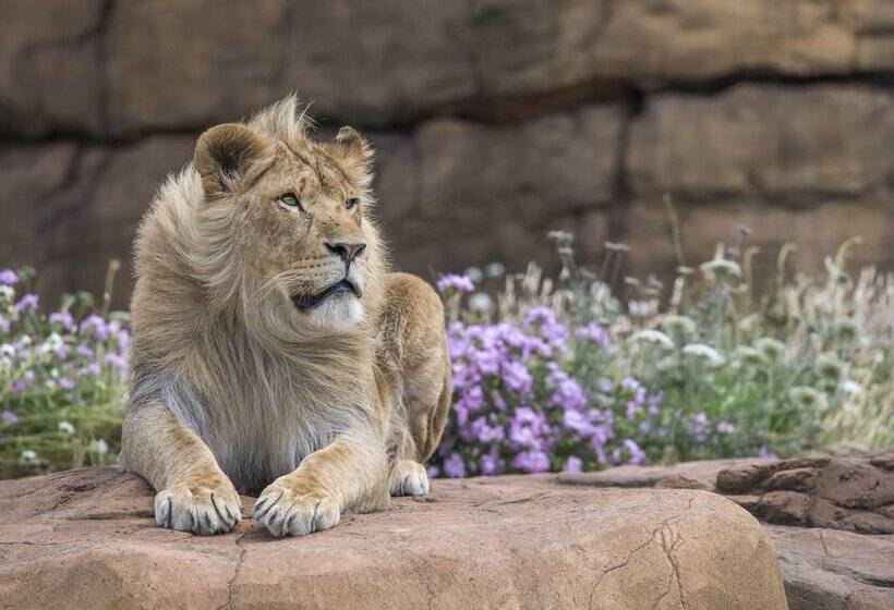 酒店 Holiday Inn Express Droitwich Spa, An Ihg