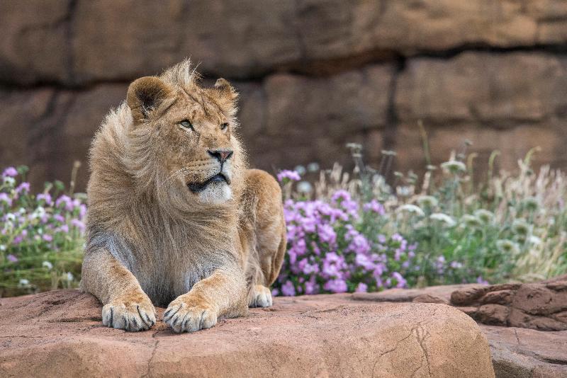 酒店 Holiday Inn Express Droitwich Spa, An Ihg