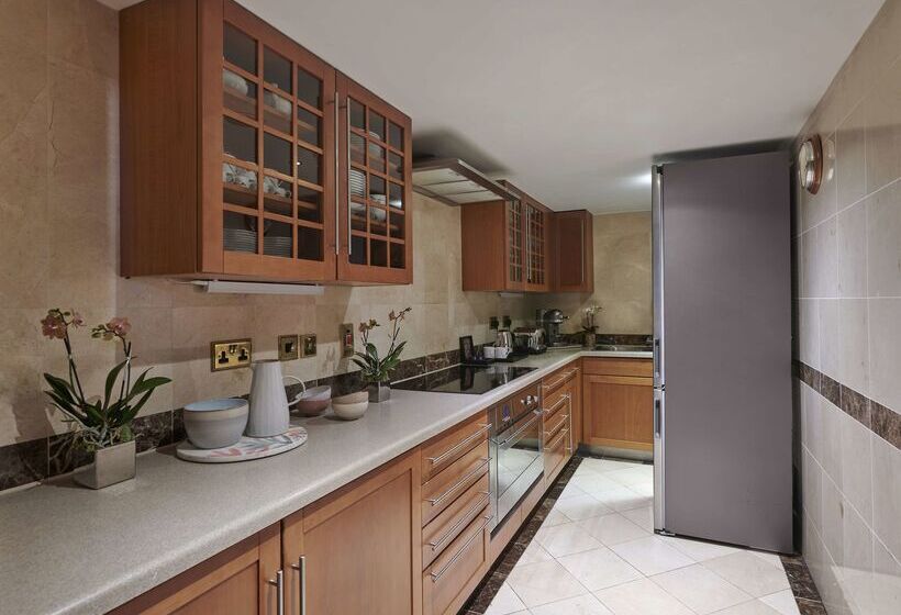 酒店 Hyatt Regency London The Churchill