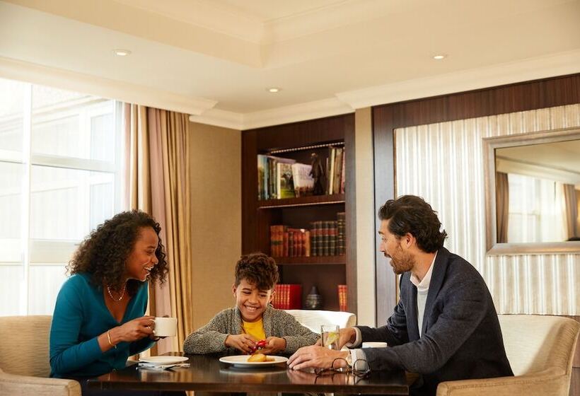 酒店 Hyatt Regency London The Churchill