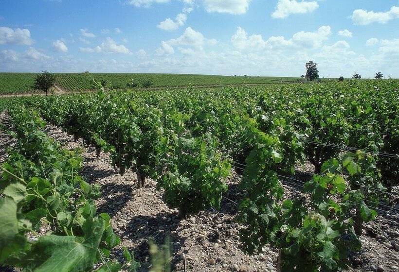 ホテル Ibis Bordeaux Centre Gare Saintjean Euratlantique