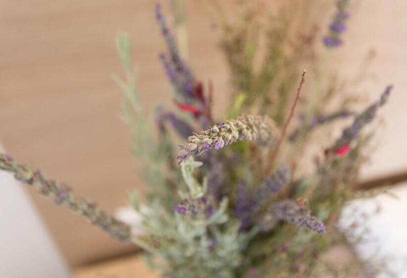 ホテル Mare Naxia