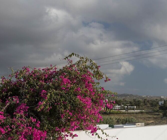 ホテル Mare Naxia