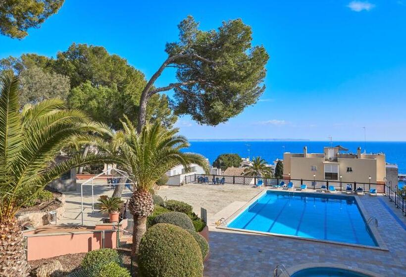 فندق Mll Blue Bay