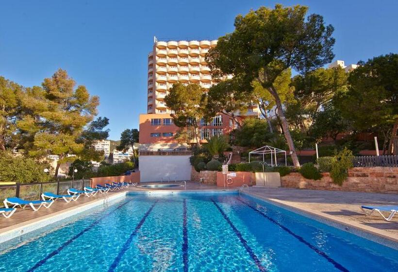 فندق Mll Blue Bay