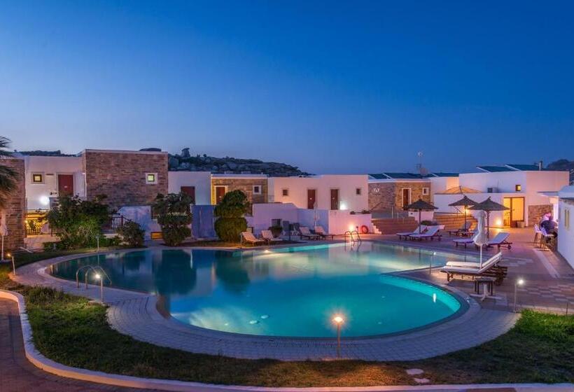 Отель Naxos Palace