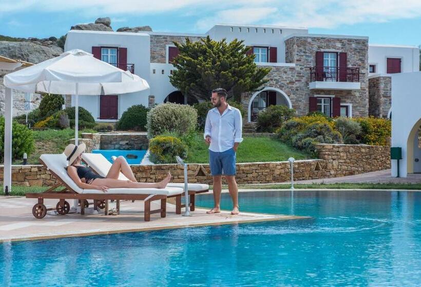 Отель Naxos Palace