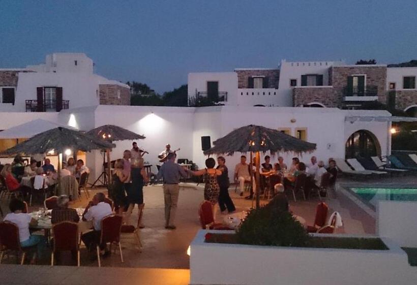 Отель Naxos Palace