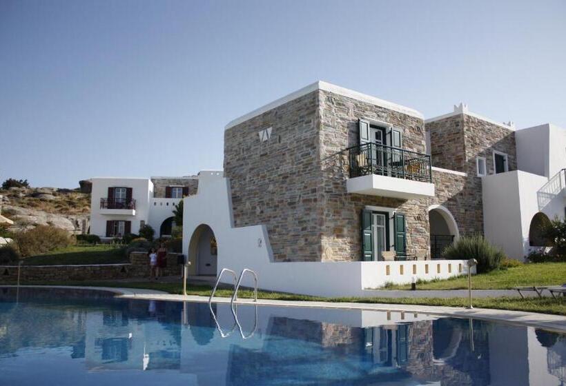 Отель Naxos Palace