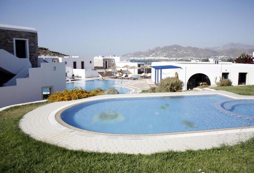 Отель Naxos Palace