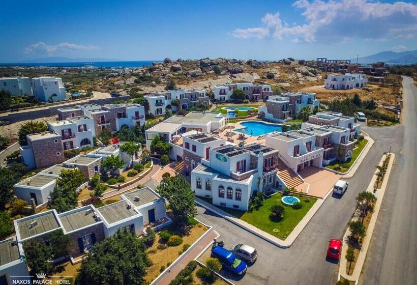 Отель Naxos Palace