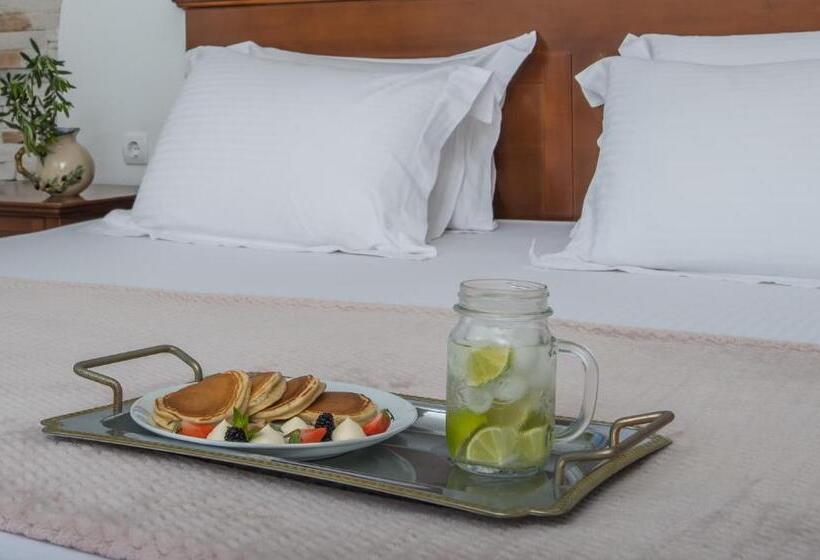 Отель Naxos Palace