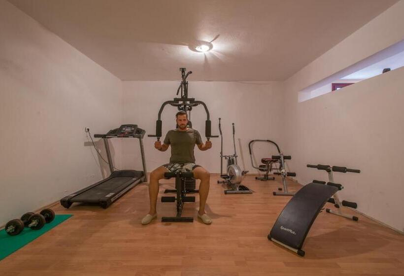 Отель Naxos Palace