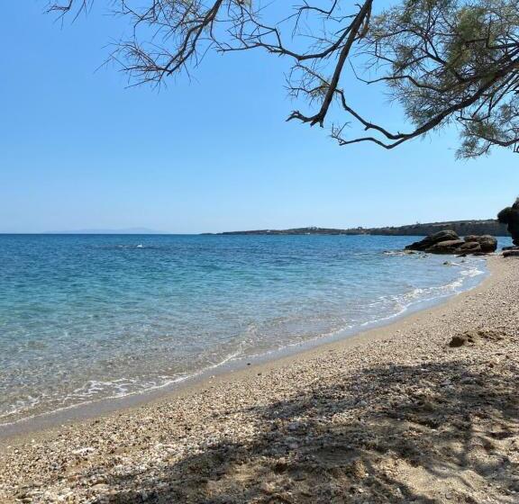 בית מלון כפרי Nissiotiko