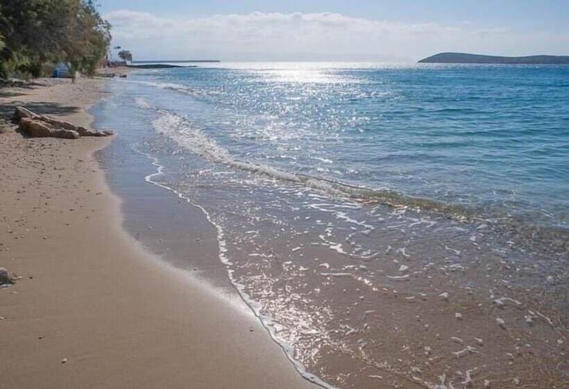 בית מלון כפרי Nissiotiko