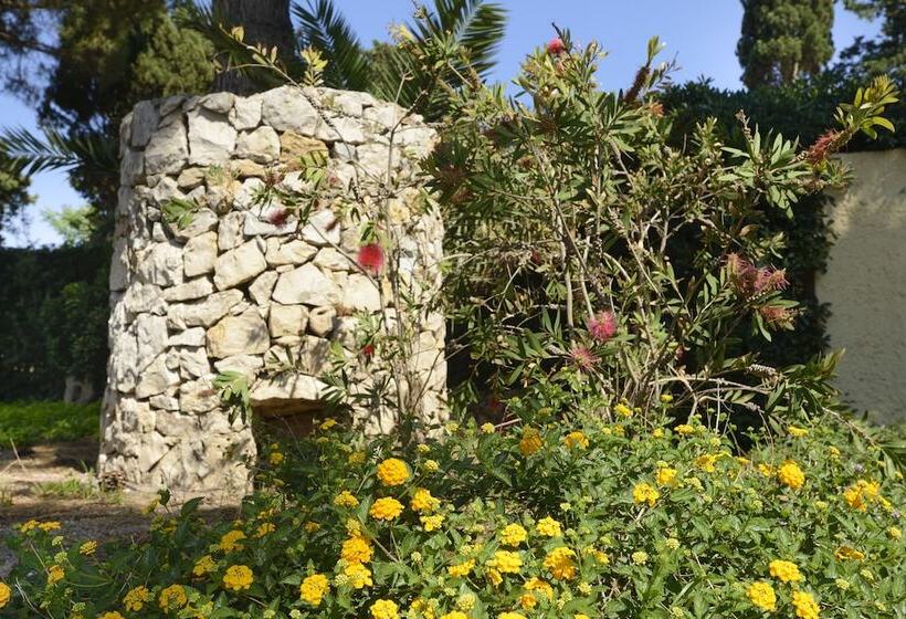 酒店 Residence Oasis