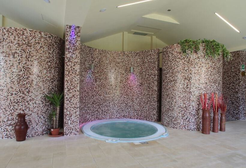 Palace Hotel San Michele