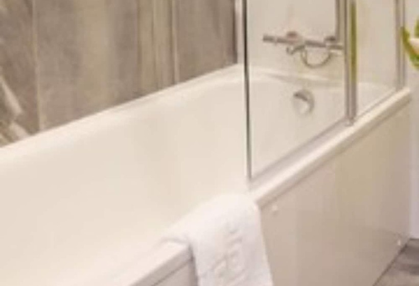 Отель The Orchid