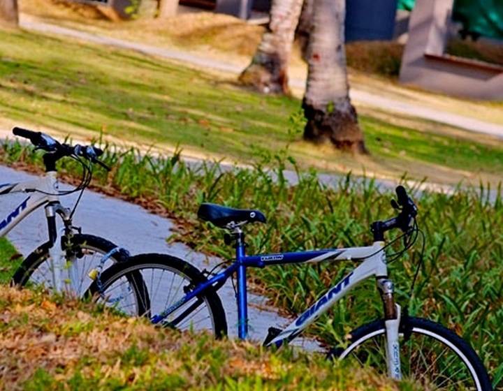 酒店 Twin Lotus Resort And Spa   Sha Plus   Adult Only November   April