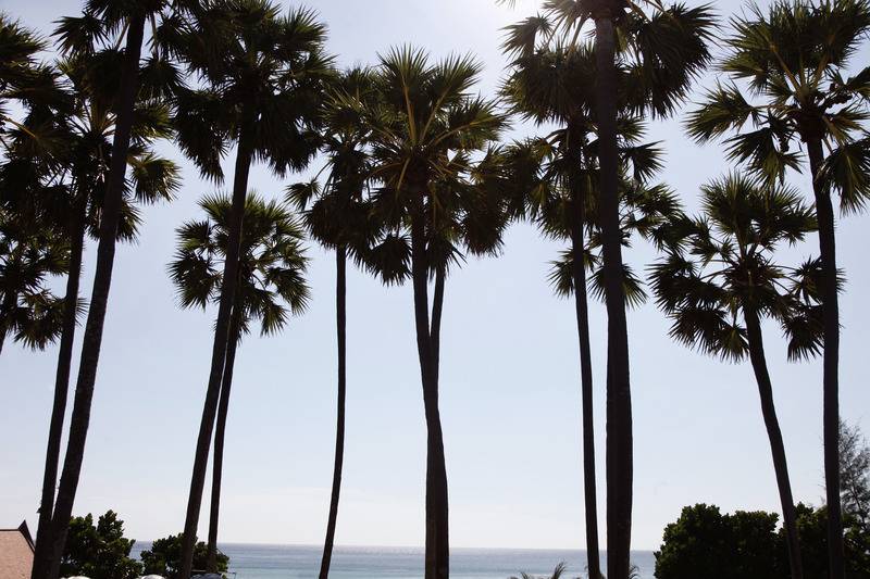 هتل Woraburi Phuket Resort & Spa   Sha Plus