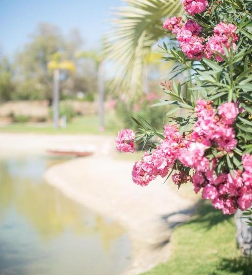 בית מלון כפרי The Navigator - Palm Oasis Alvor - All Inclusive