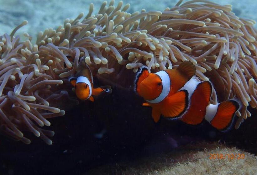 酒店 Zeavola Resort