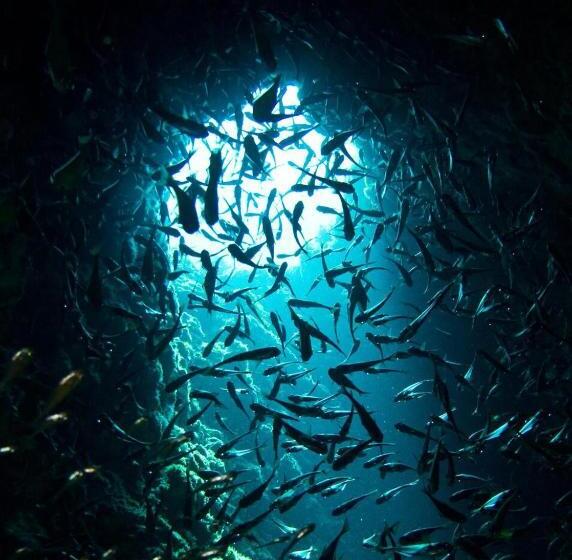 酒店 Zeavola Resort