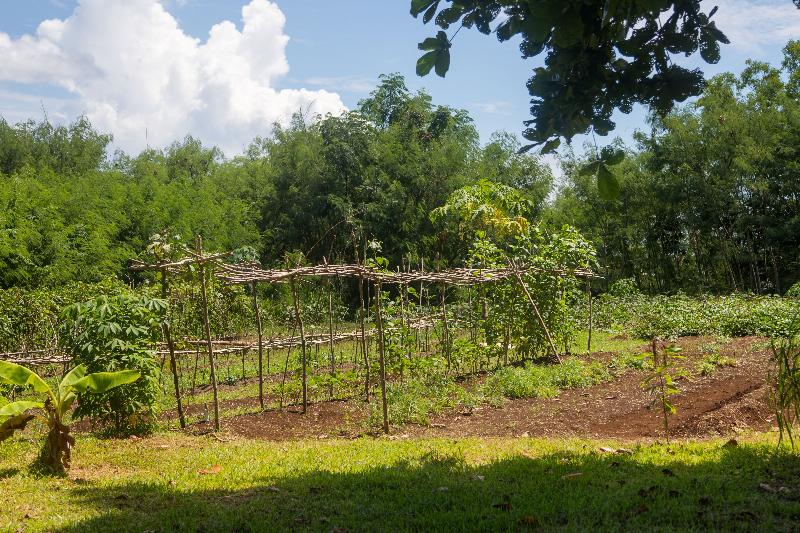 Iririki Island Resort & Spa